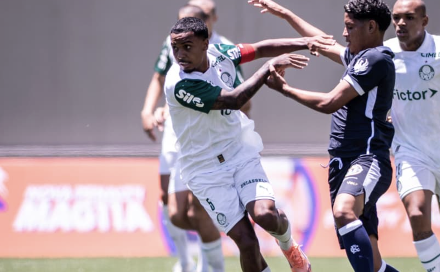 image para ilustrar o artigo