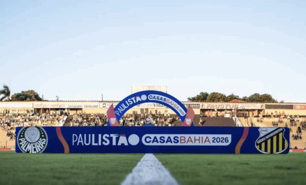 Palmeiras e Grêmio Novorizontino (Foto: Agência Paulistão) 