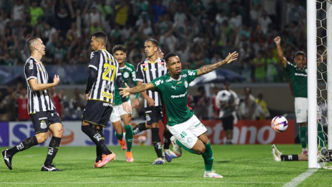 Allan em ação pelo Palmeiras (Foto: Fabio Menotti) 