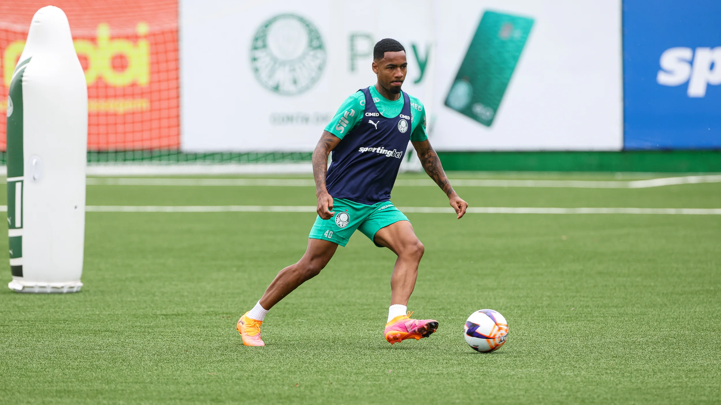 image para ilustrar o artigo