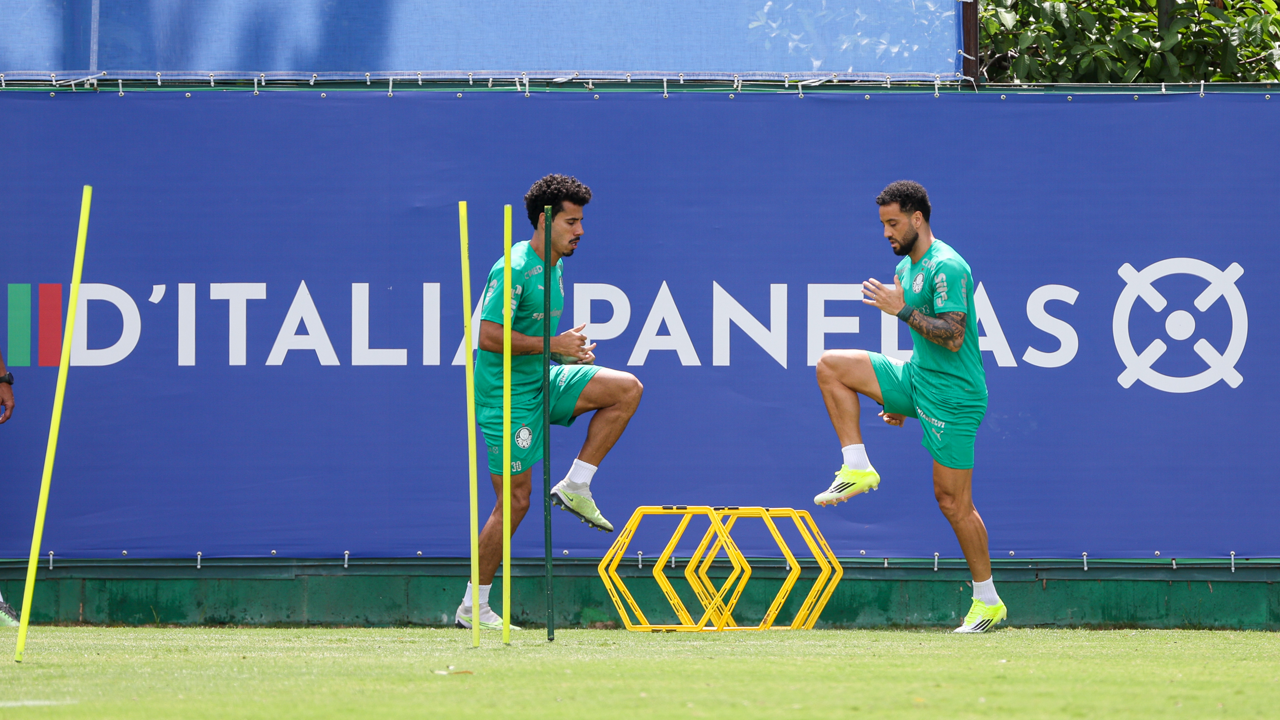 image para ilustrar o artigo