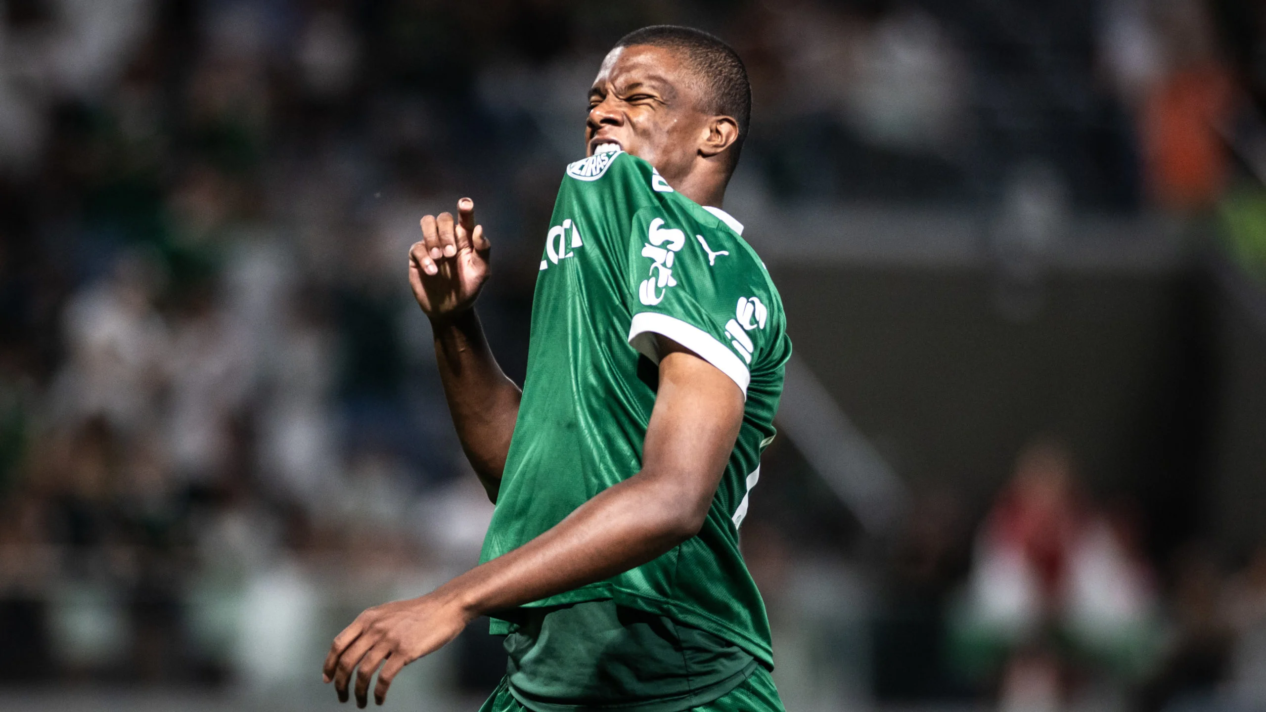 image para ilustrar o artigo