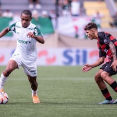 Palmeiras am a&ccedil;&atilde;o pela Copa S&atilde;o Paulo de Futebol J&uacute;nior (Foto: Guilherme Veiga)