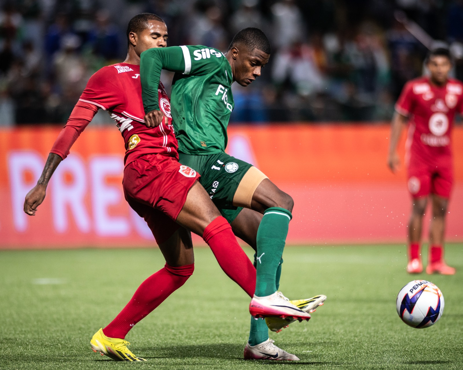 image para ilustrar o artigo