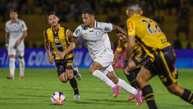Partida entre SE Palmeiras e Novorizontino, válida pela quarta rodada do Campeonato Paulista, Série A1, no Estadio Jorge Ismael de Biasi, em Novo Horizonte-SP. (Foto: Fabio Menotti/Palmeiras/by Canon)

