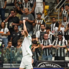 Flaco L&oacute;pez em a&ccedil;&atilde;o pelo Palmeiras (Foto: F&aacute;bio Menotti) 
