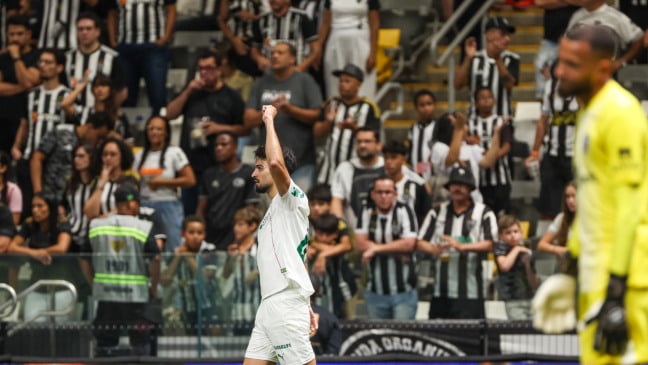 Flaco López em ação pelo Palmeiras (Foto: Fábio Menotti) 