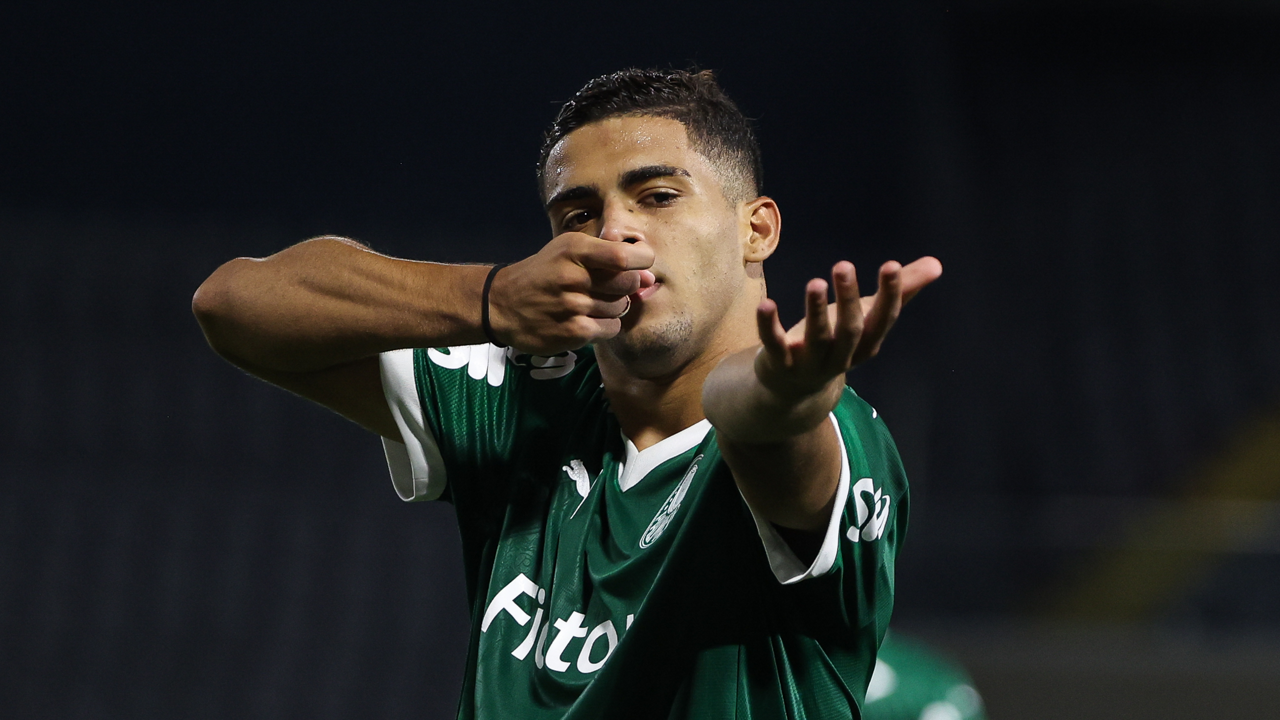 image para ilustrar o artigo