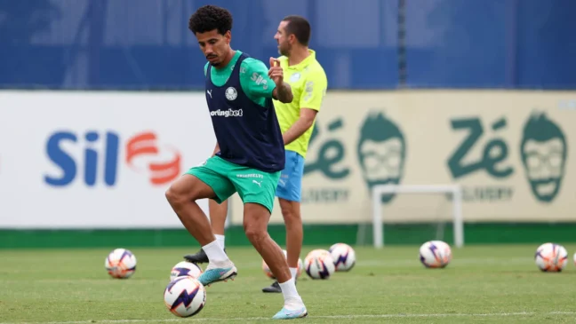 Recuperado, Lucas Evangelista ficou no banco na partida contra o Vitória, pelo Brasileiro (Foto: Cesar Greco/Palmeiras/by Canon)

