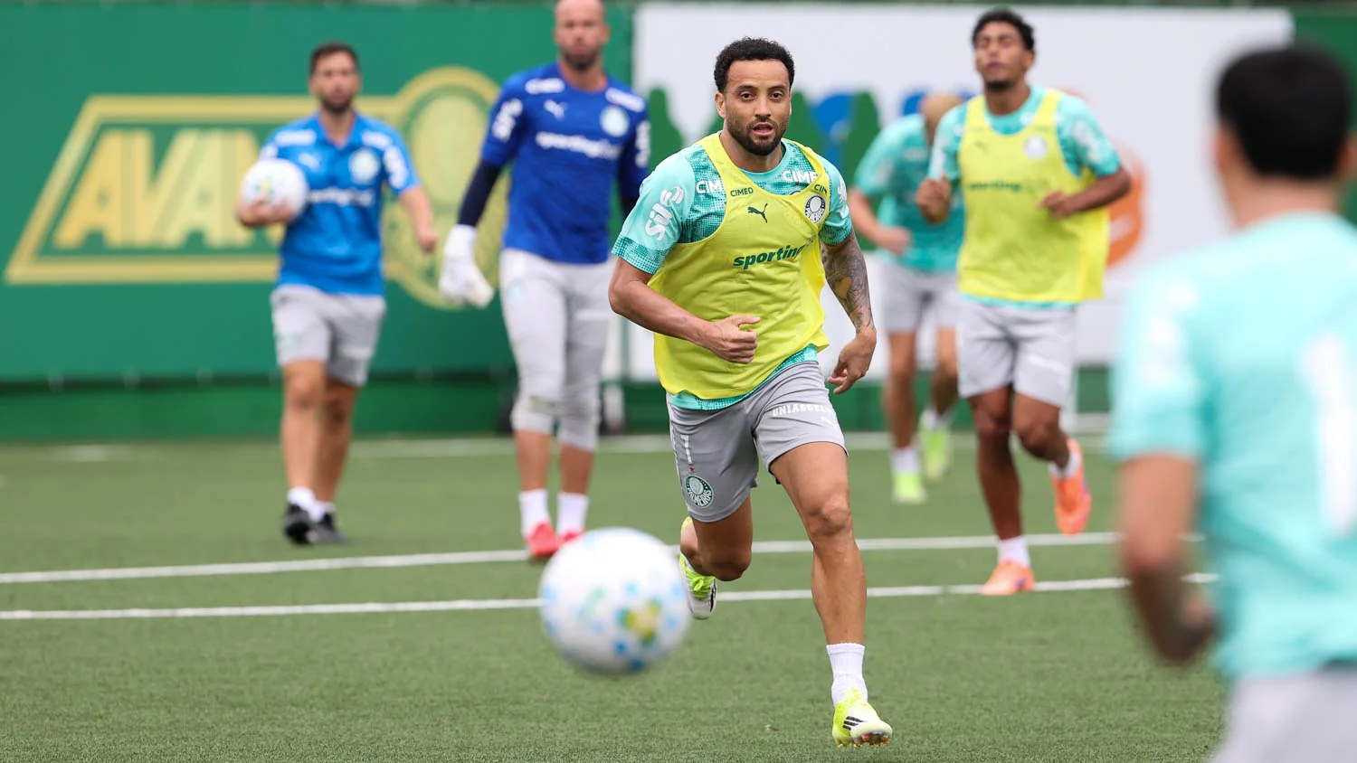 image para ilustrar o artigo