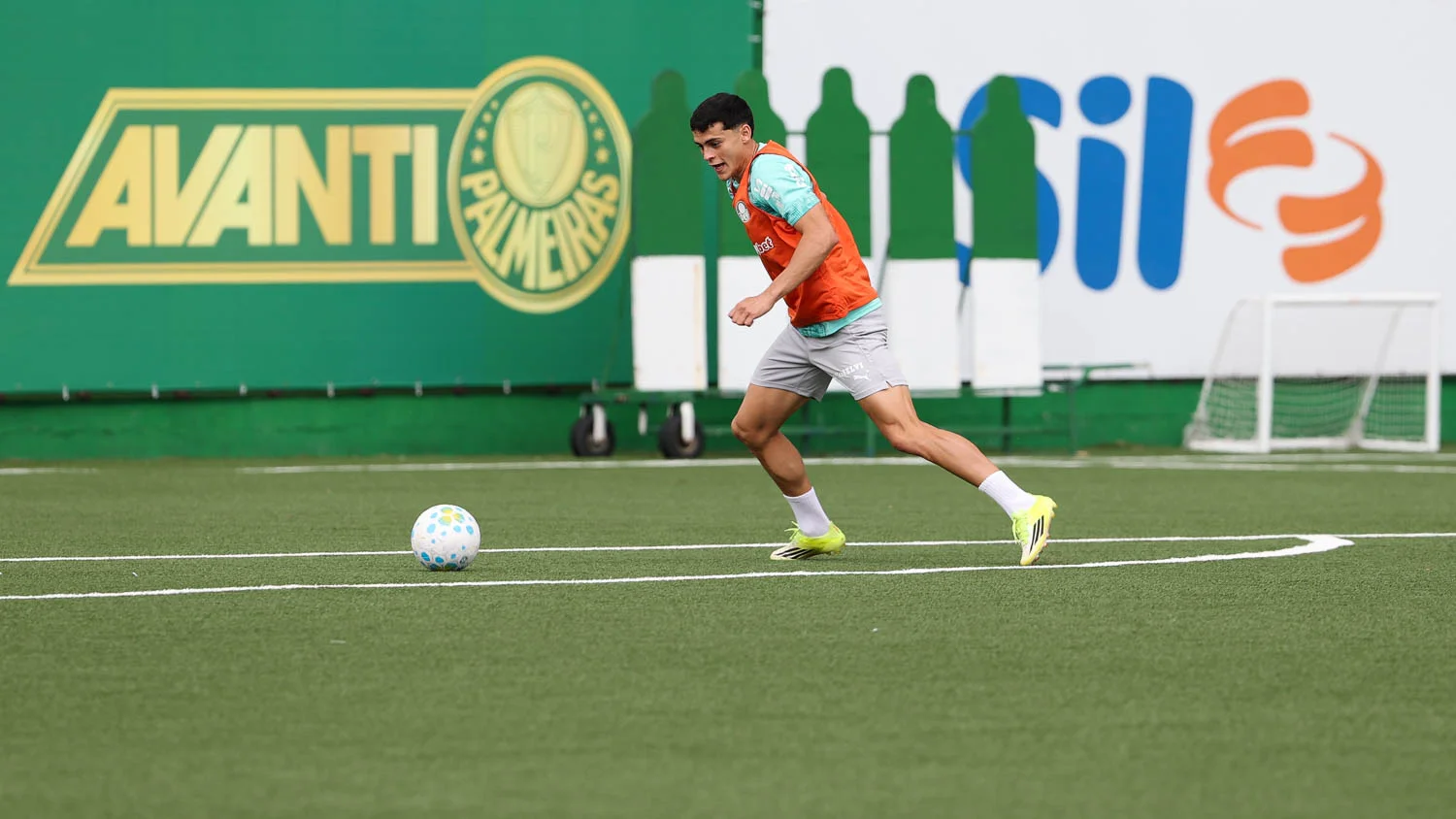 image para ilustrar o artigo