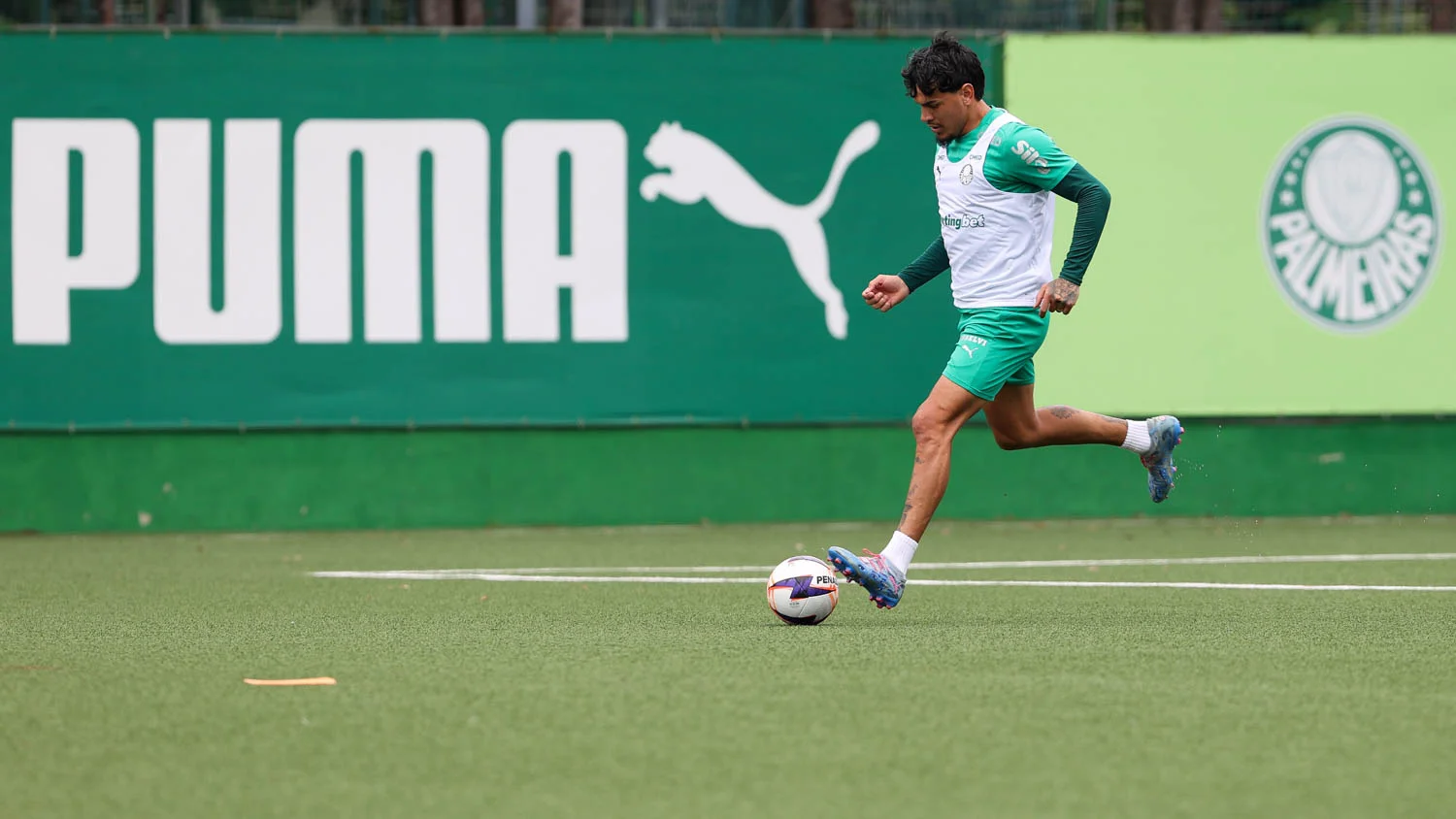 image para ilustrar o artigo