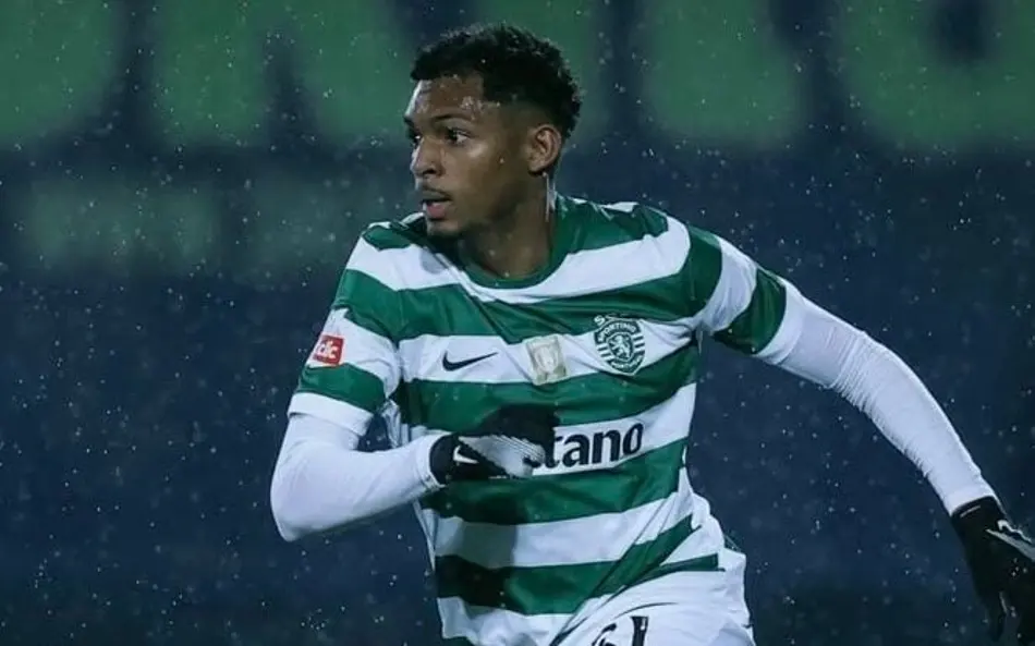 image para ilustrar o artigo