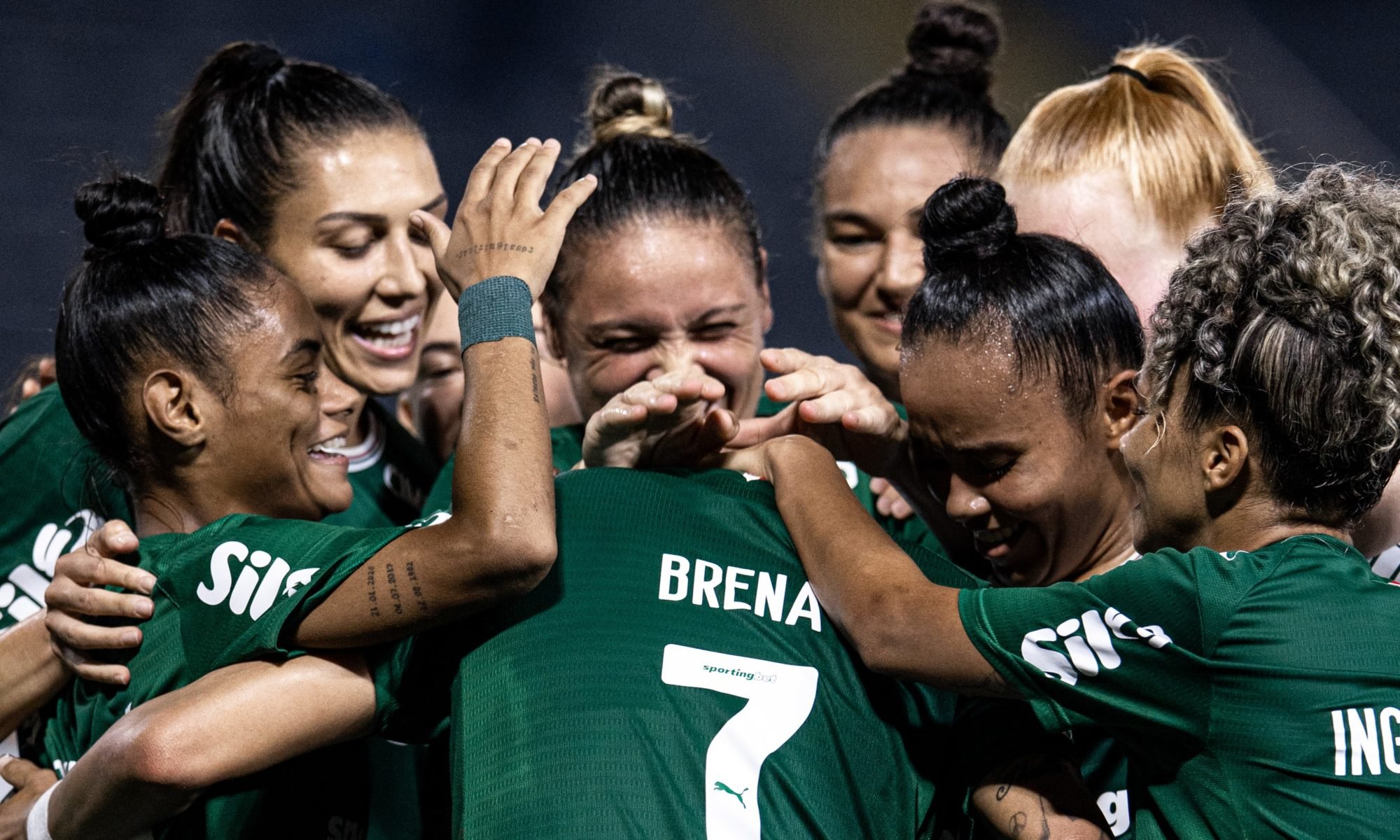 image para ilustrar o artigo