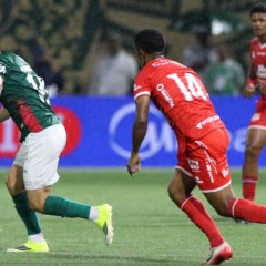 Palmeiras e Capivariano pelas quartas de final do Paulist&atilde;o (Foto: Cesar Greco/Palmeiras)