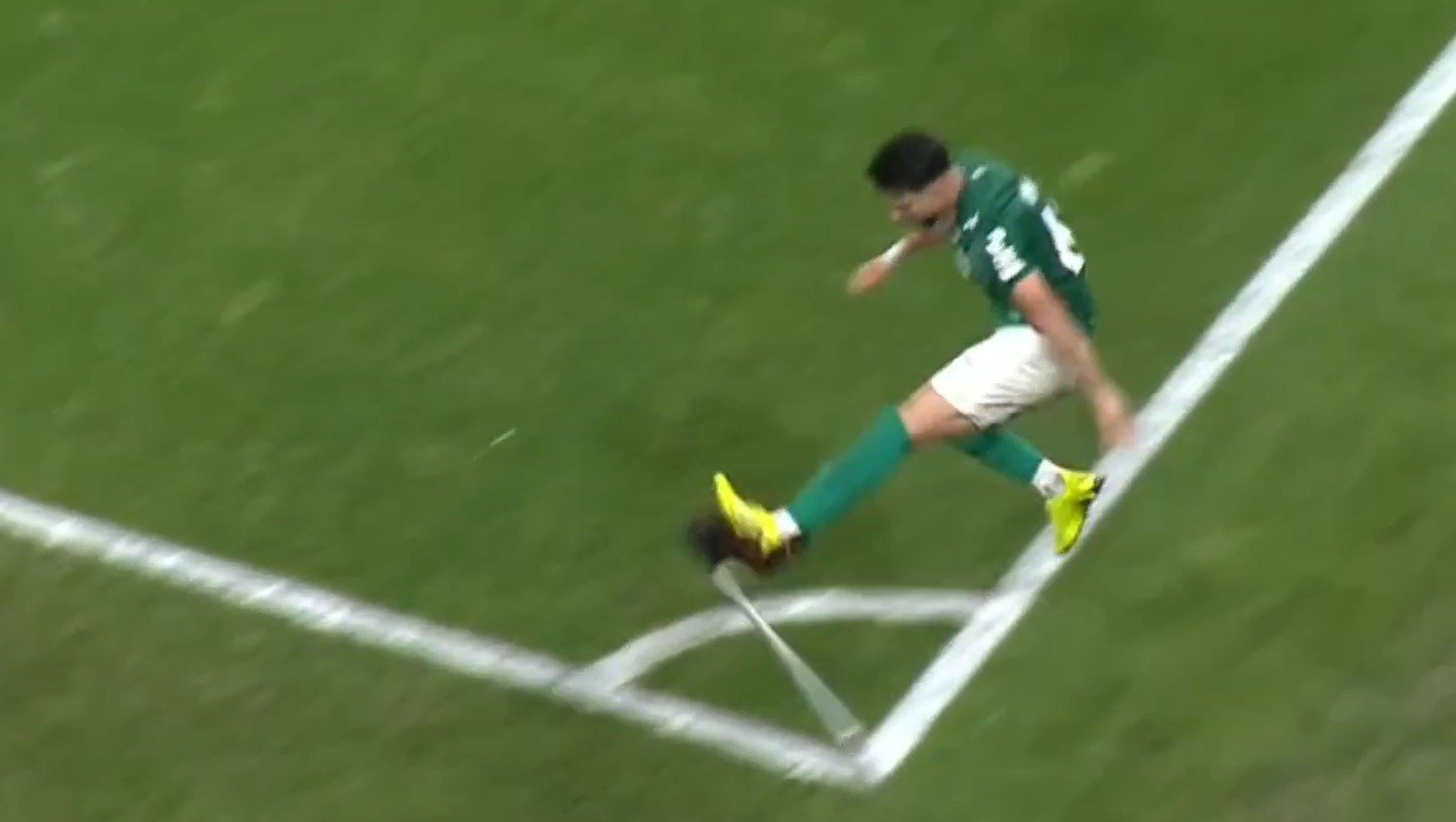 image para ilustrar o artigo