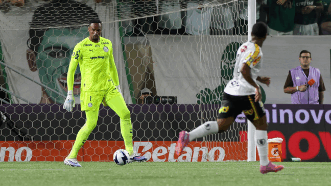 O goleiro Carlos Miguel, da SE Palmeiras, em jogo contra a equipe do G Novorinzontino, durante partida válida pela final, ida, do Campeonato Paulista, Série A1, na Arena Barueri. (Foto: Cesar Greco/Palmeiras/by Canon)
