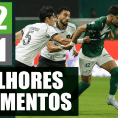 Assista aos melhores momentos da vit&oacute;ria do Palmeiras contra o Botafogo