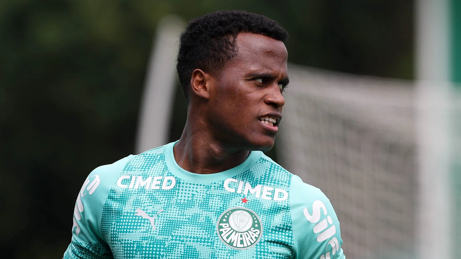 image para ilustrar o artigo