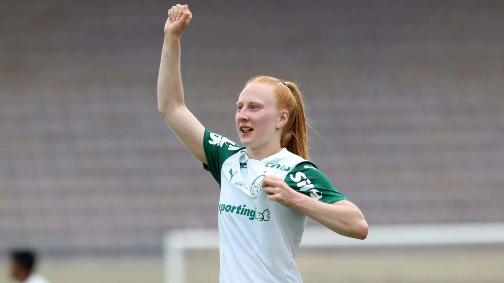 image para ilustrar o artigo