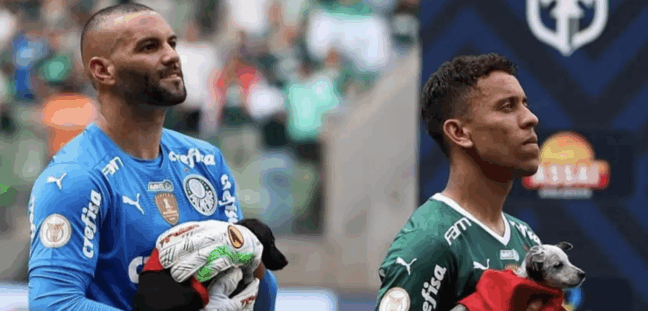 Dupla fez história no Palmeiras (Foto: Cesar Greco/Palmeiras)
