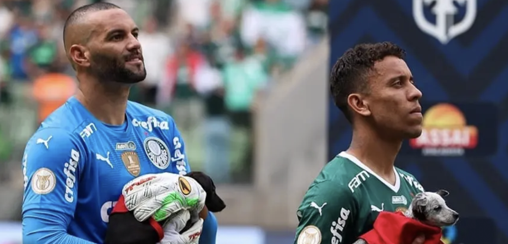 image para ilustrar o artigo