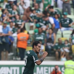 Palmeiras x Mirassol