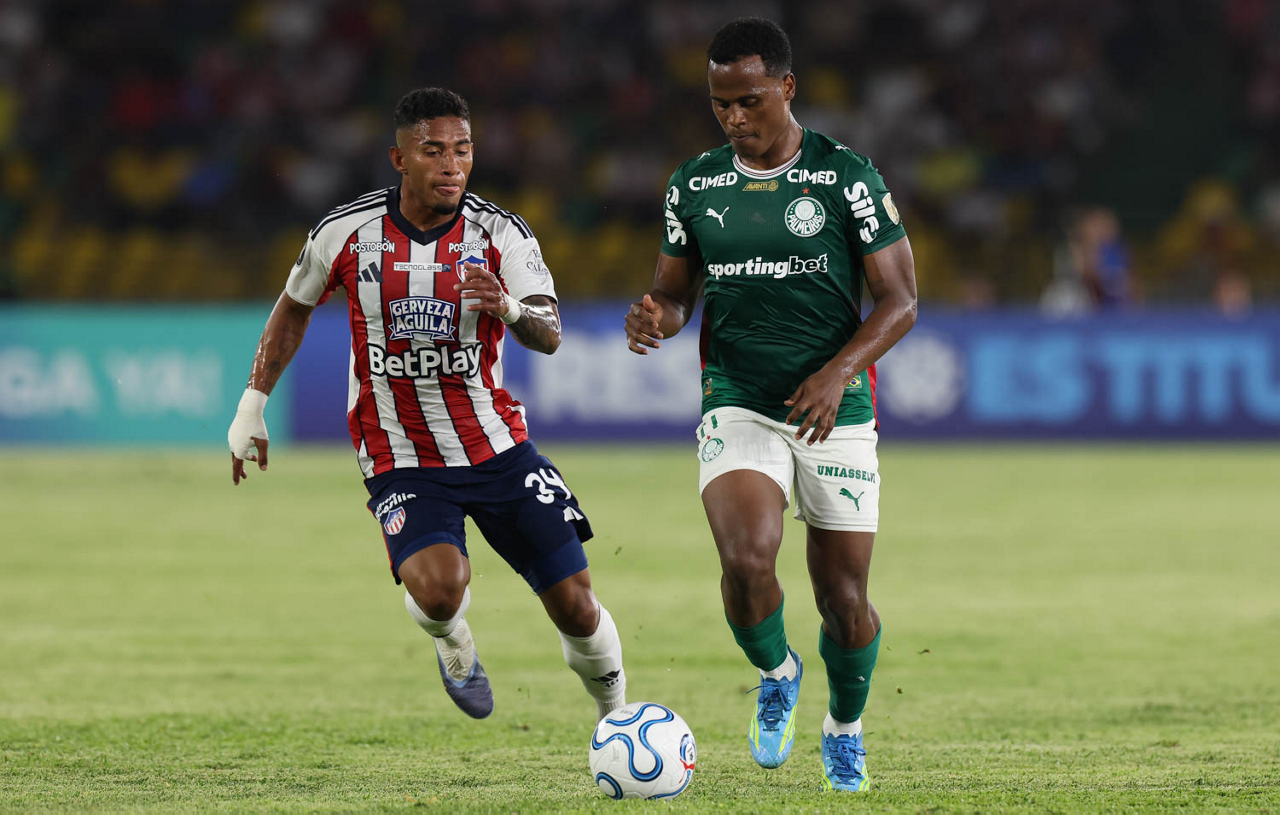 image para ilustrar o artigo