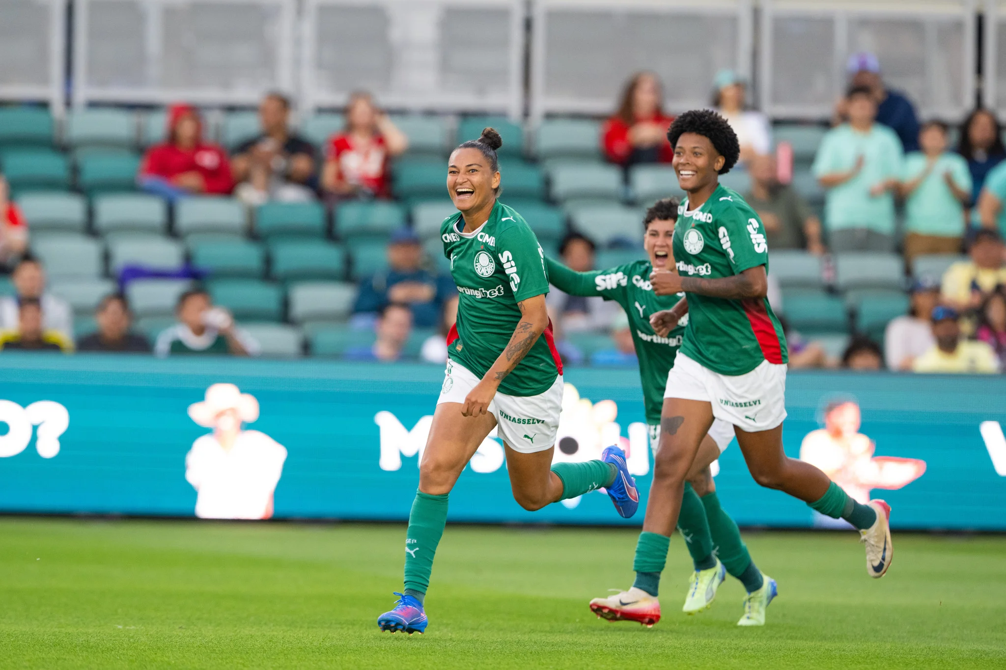 image para ilustrar o artigo