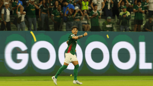 O jogador Gustavo Gómez, da SE Palmeiras, comemoras seu gol contra a equipe do C Athletico Paranaense, durante partida válida pela décima segunda rodada, do Campeonato Brasileiro, Série A, na arena Allianz Parque. (Foto: Cesar Greco/Palmeiras/by Canon)
