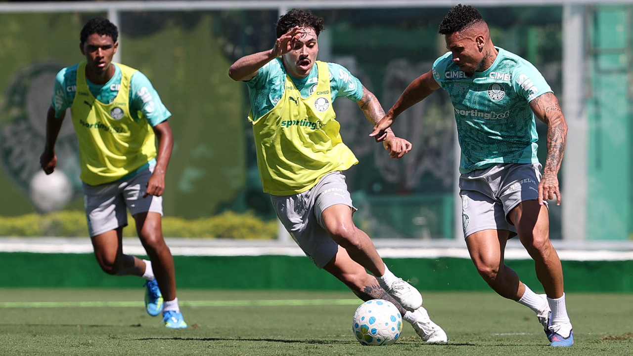 image para ilustrar o artigo