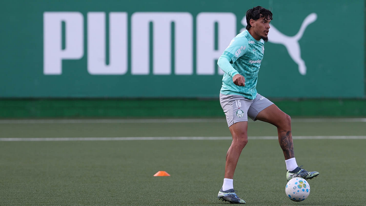 image para ilustrar o artigo