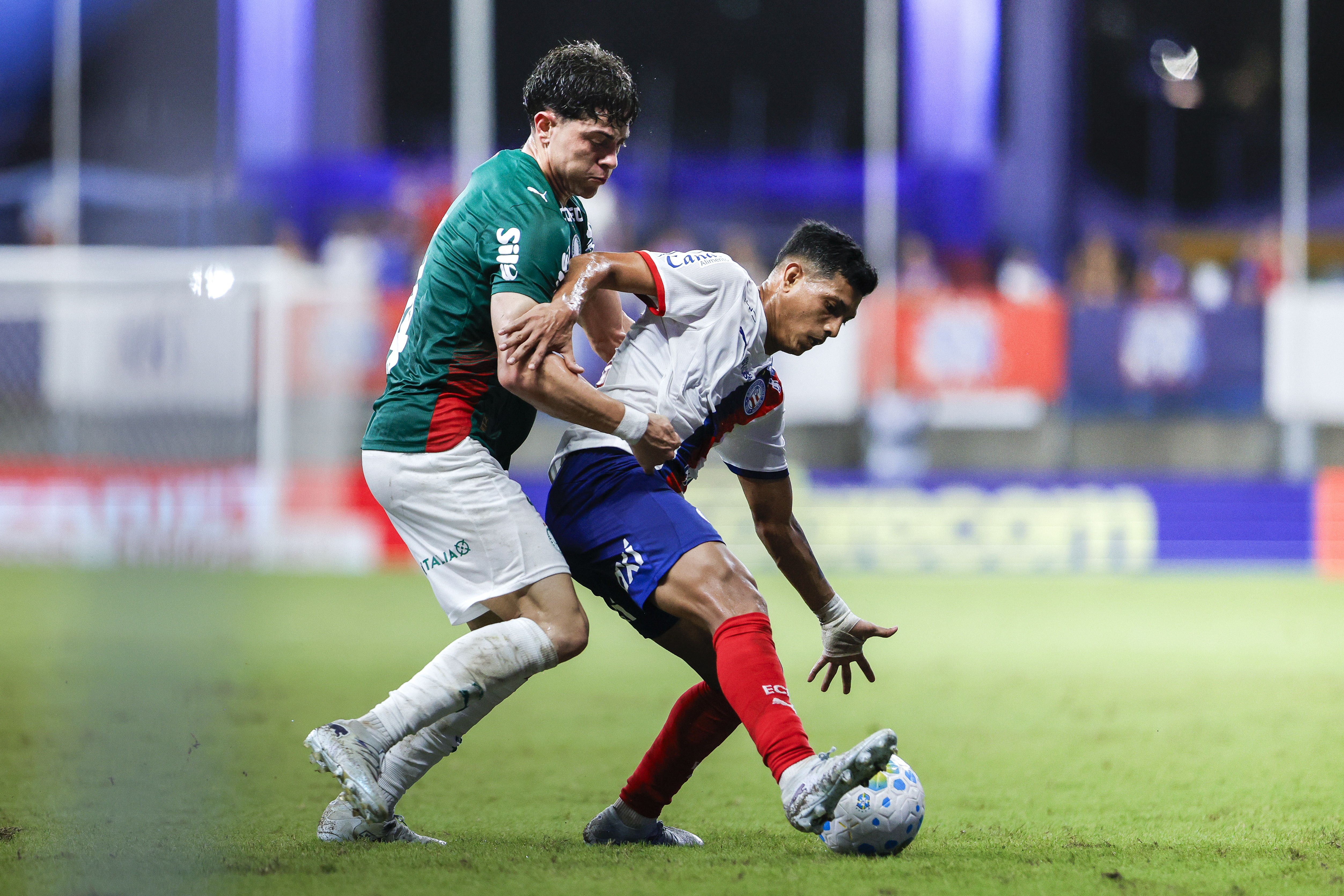 image para ilustrar o artigo