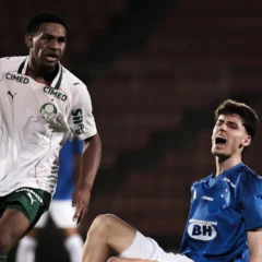 Palmeiras derrota vice-l&iacute;der Cruzeiro fora de casa (Foto: Gustavo Martins/Cruzeiro)