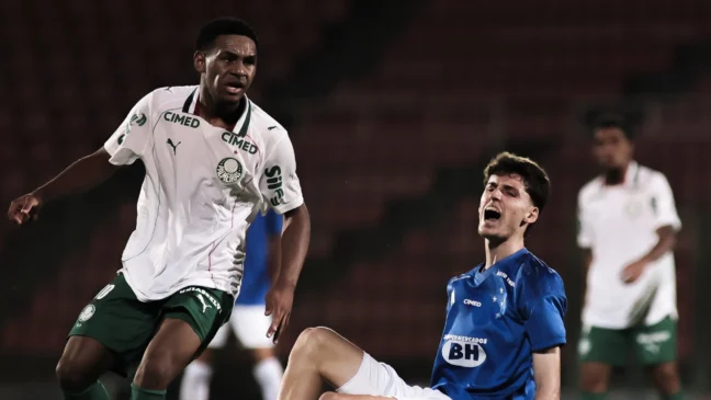 Palmeiras derrota vice-líder Cruzeiro fora de casa (Foto: Gustavo Martins/Cruzeiro)