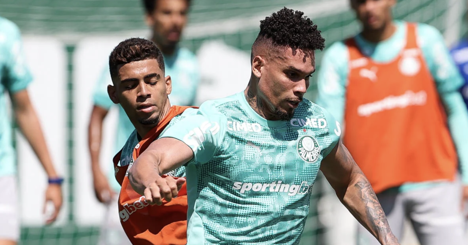 image para ilustrar o artigo