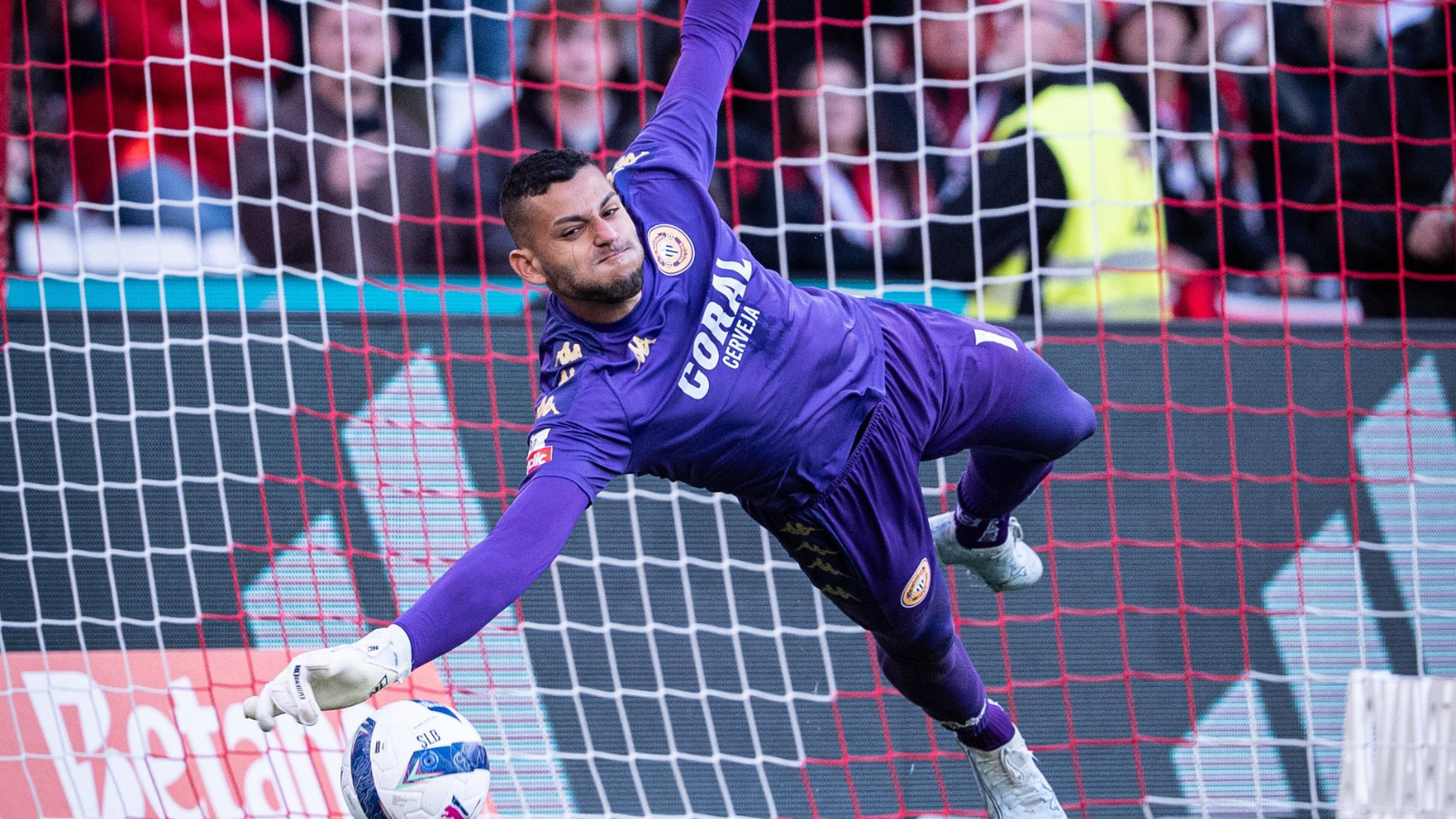 image para ilustrar o artigo