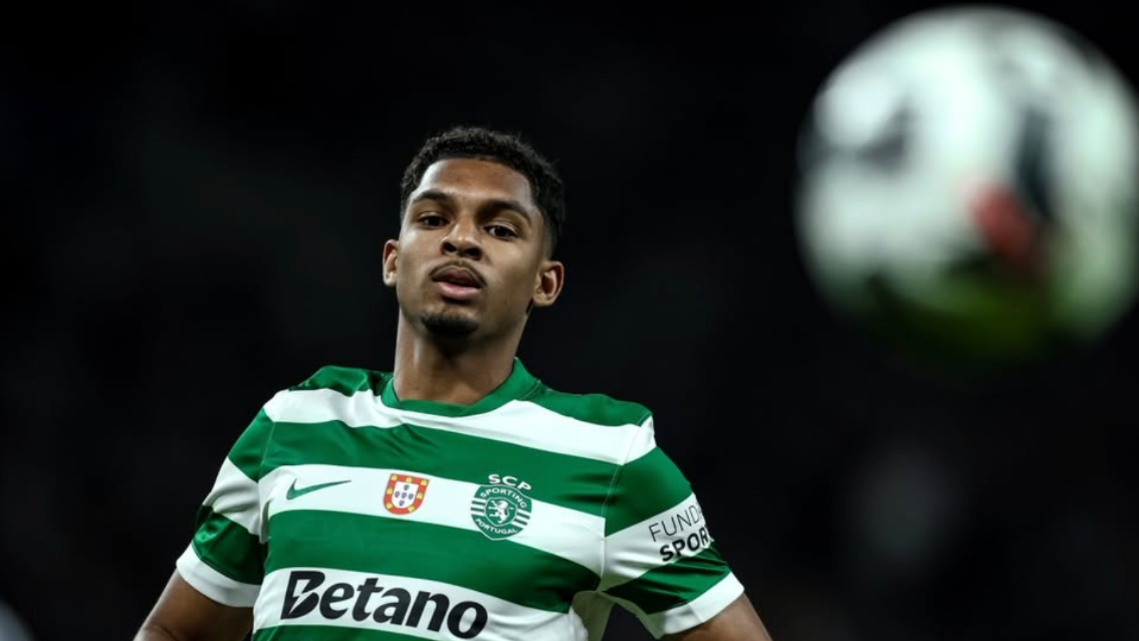 image para ilustrar o artigo