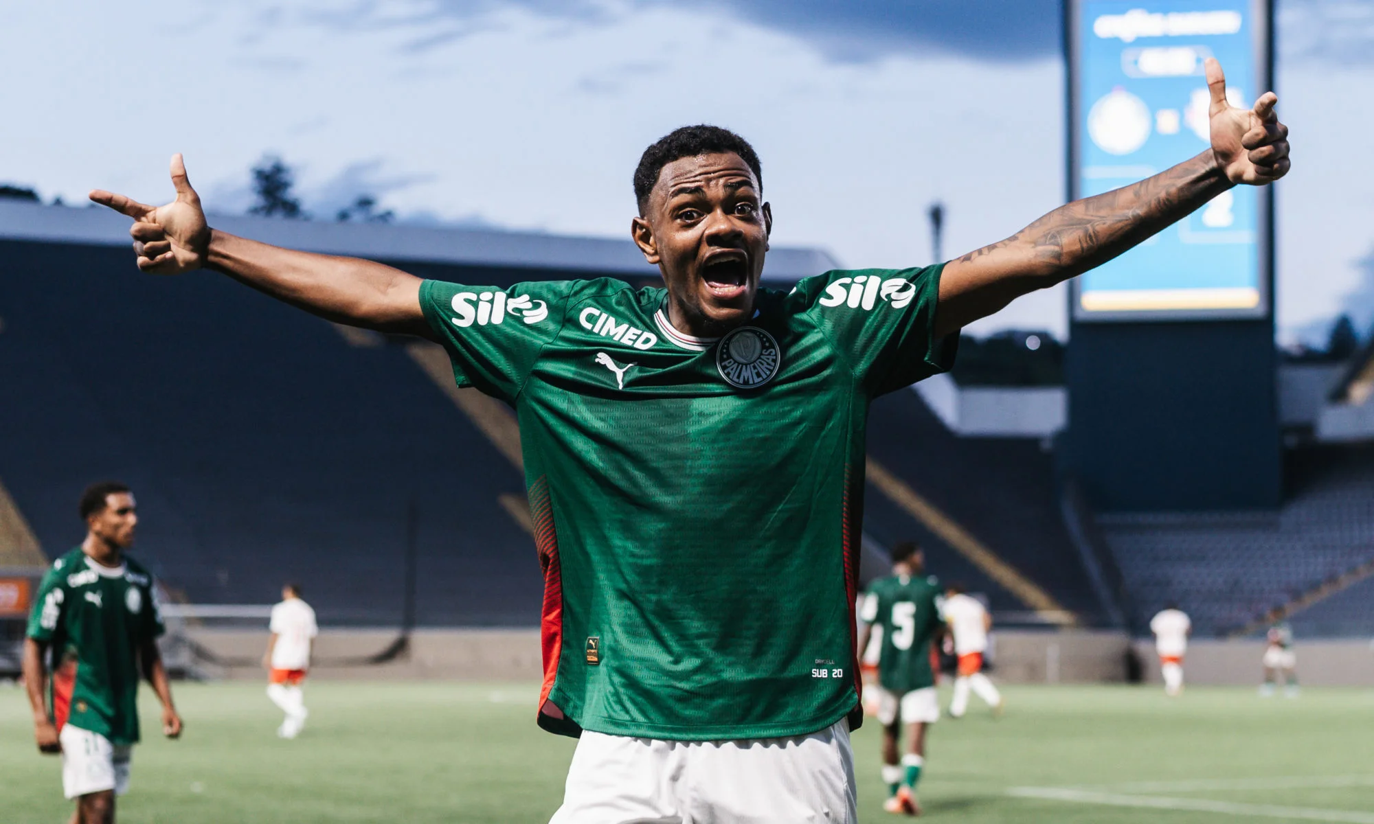 image para ilustrar o artigo