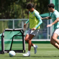 Jeft&eacute; tem les&atilde;o diagnosticada em reapresenta&ccedil;&atilde;o do Palmeiras