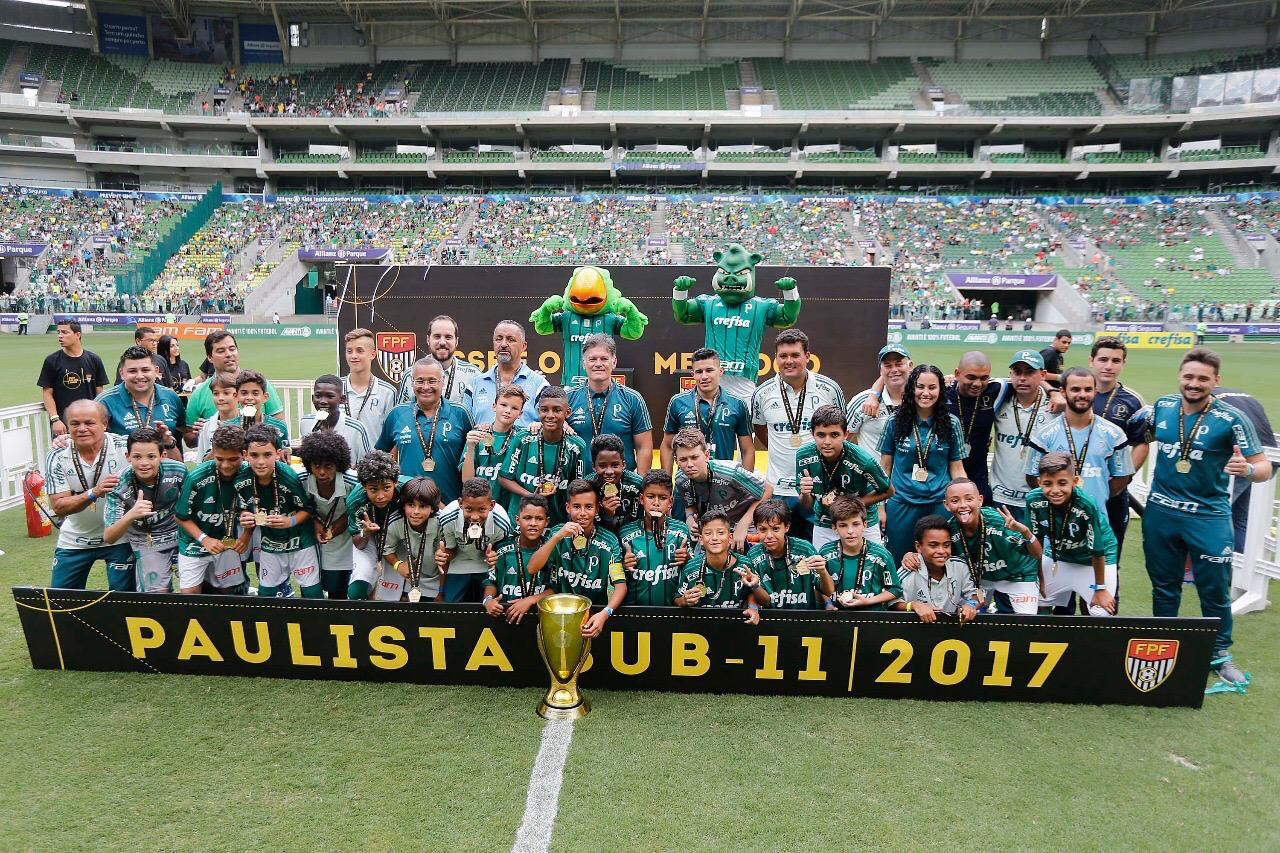 image para ilustrar o artigo