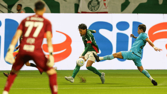 Palmeiras em ação diante do Santos (Foto: Cesar Greco / Palmeiras) 