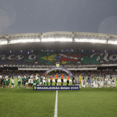 Palmeiras e Remo, em Bel&eacute;m (Foto: Cesar Greco / Palmeiras) 