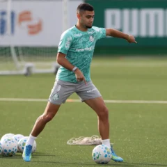Andreas Pereira em a&ccedil;&atilde;o pelo Palmeiras (Foto: Cesar Greco)