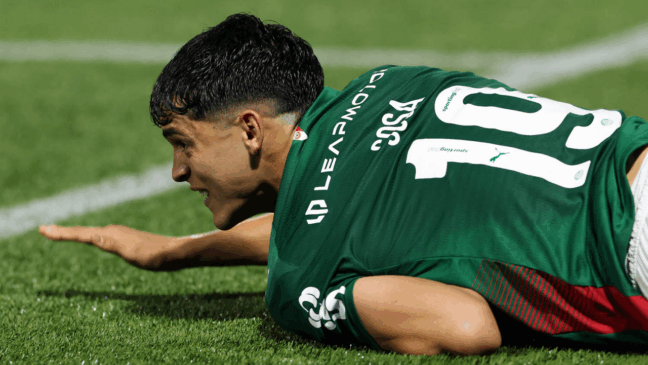 O jogador Ramón Sosa, da SE Palmeiras, em jogo contra a equipe do EC Cruzeiro, durante partida válida pela décima sexta rodada, do Campeonato Brasileiro, Série A, na Arena Barueri. (Foto: Cesar Greco/Palmeiras/by Canon)
