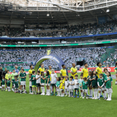 O time da SE Palmeiras, em jogo contra a equipe da A Chapecoense F, durante partida v&aacute;lida pela d&eacute;cima oitava rodada, do Campeonato Brasileiro, S&eacute;rie A, na Arena Allianz Parque. (Foto: Cesar Greco/Palmeiras/by Canon)
