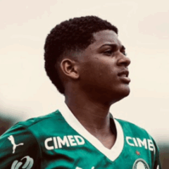 Foto: Divulga&ccedil;&atilde;o/Palmeiras