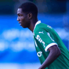 Luis Fhelipe em a&ccedil;&atilde;o pelo Palmeiras (Foto: Reprodu&ccedil;&atilde;o / Instagram) 