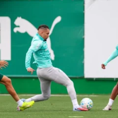 Palmeiras confirma les&atilde;o de zagueiro; veja detalhes