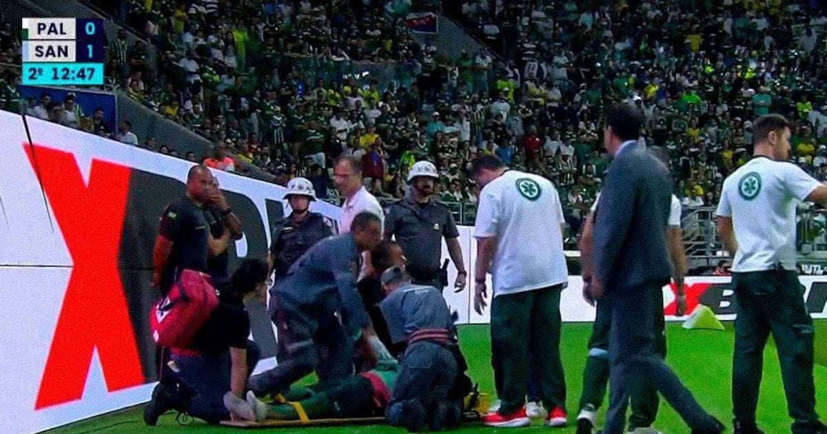 STJD marca julgamento do Palmeiras por invasão de torcedor em jogo contra Santos